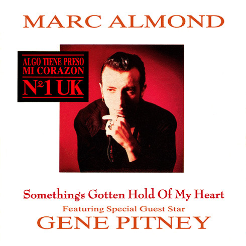 Capa de Something's Gotten Hold of My Heart